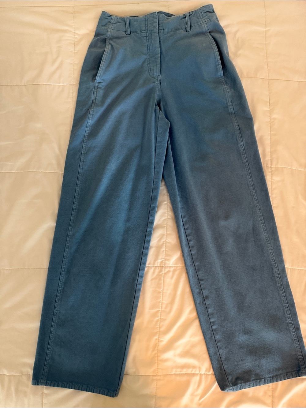 Aritzia Wide-Leg Trousers in Slate Blue